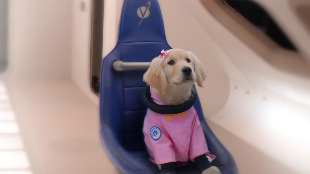 Supercuccioli nello spazio - immagine