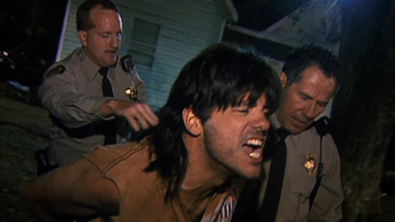 Run Ronnie Run - immagine