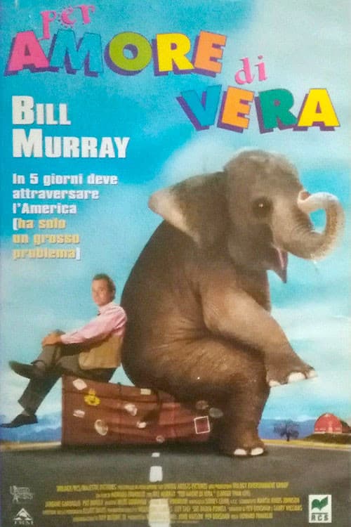 Poster di Per amore di Vera