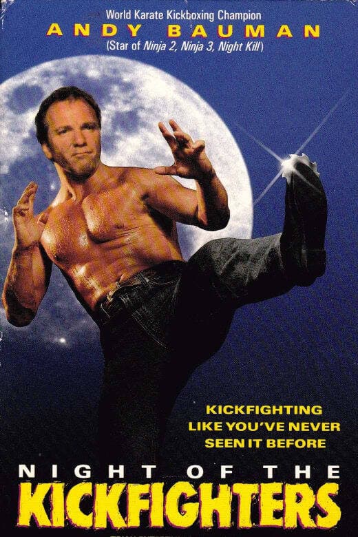 Poster di Night of the Kickfighters