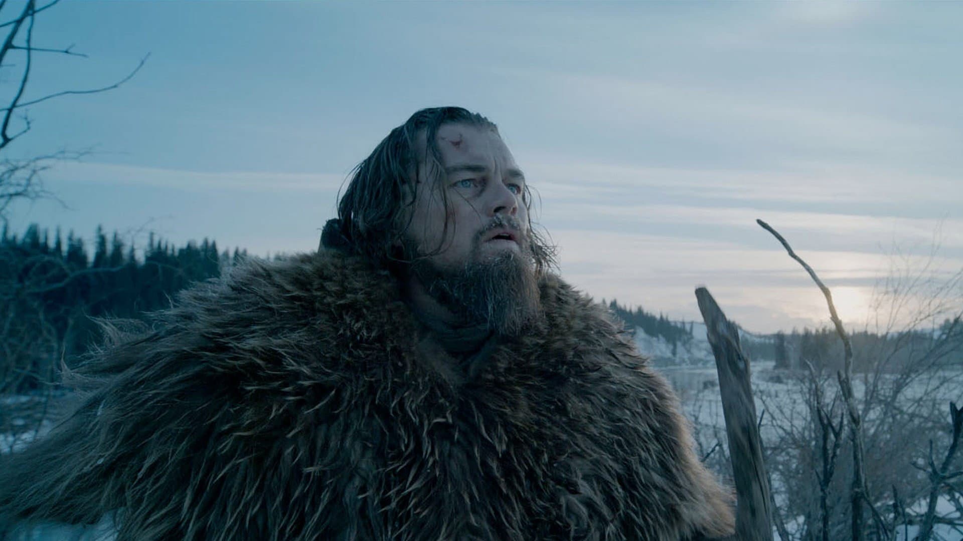 Revenant - Redivivo - immagine