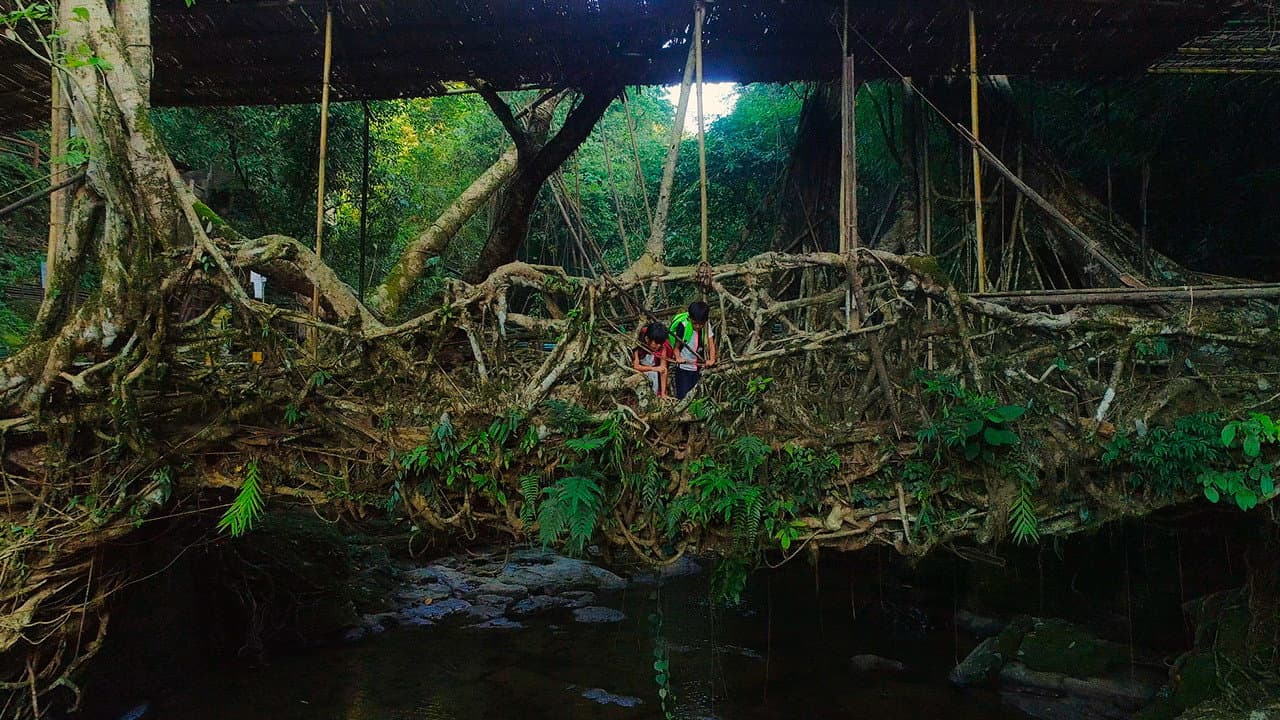 For Tomorrow - the Documentary - immagine