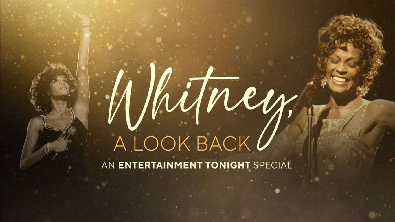 Whitney, a Look Back - immagine