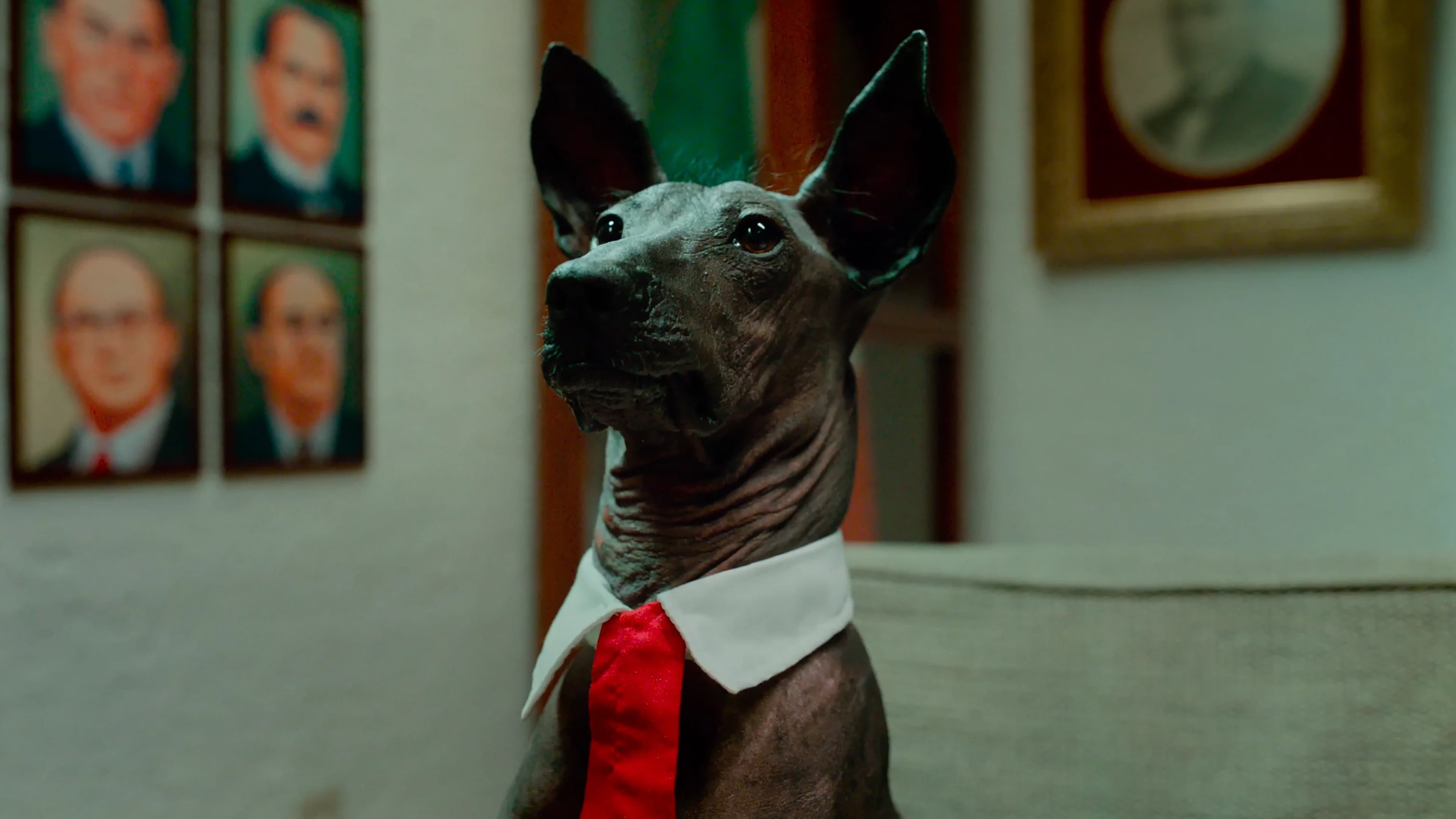Una Película de Amor y Guerra - immagine