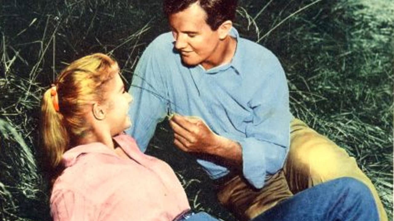 Il sole nel cuore - immagine
