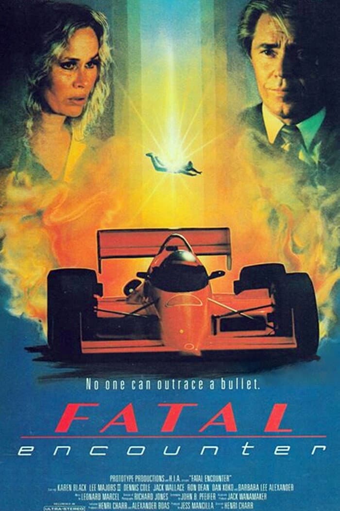Poster di Fatal Encounter