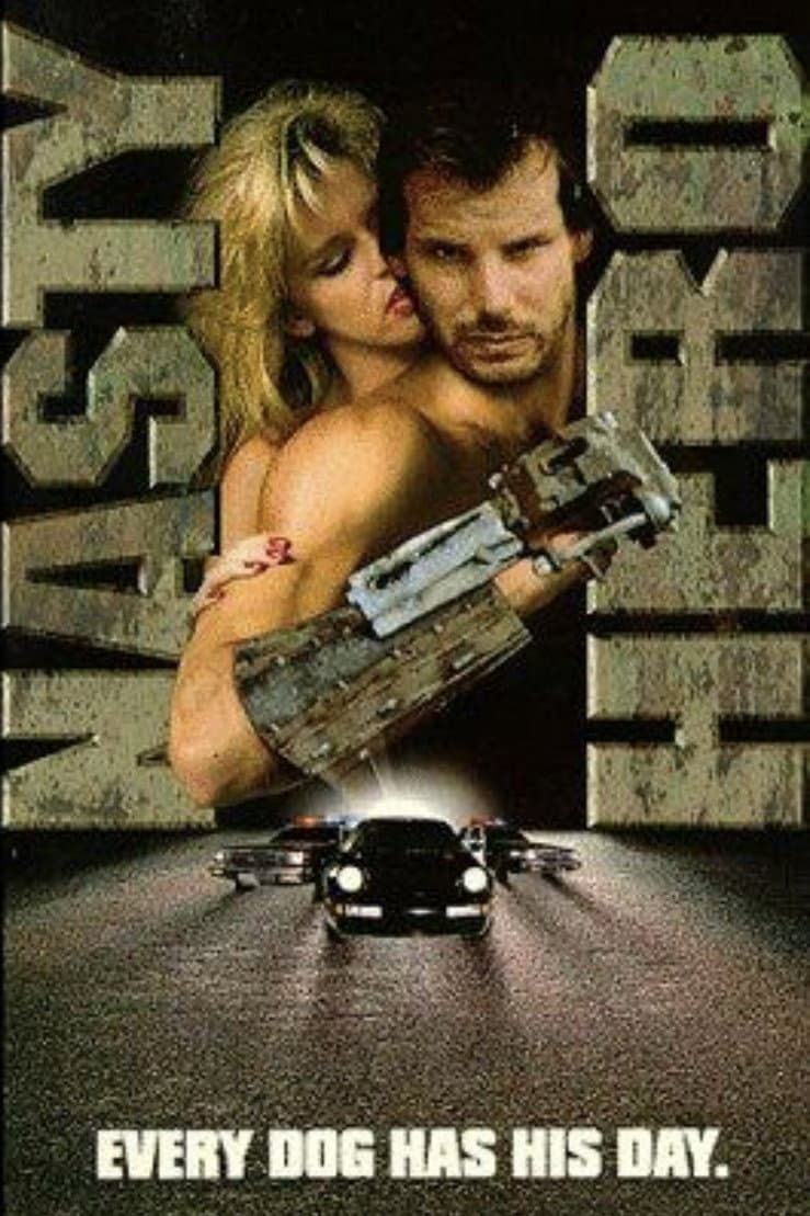 Poster di Nasty Hero