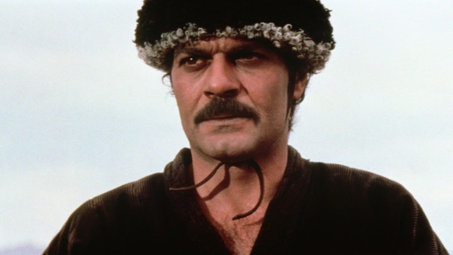 Cavalieri selvaggi - immagine