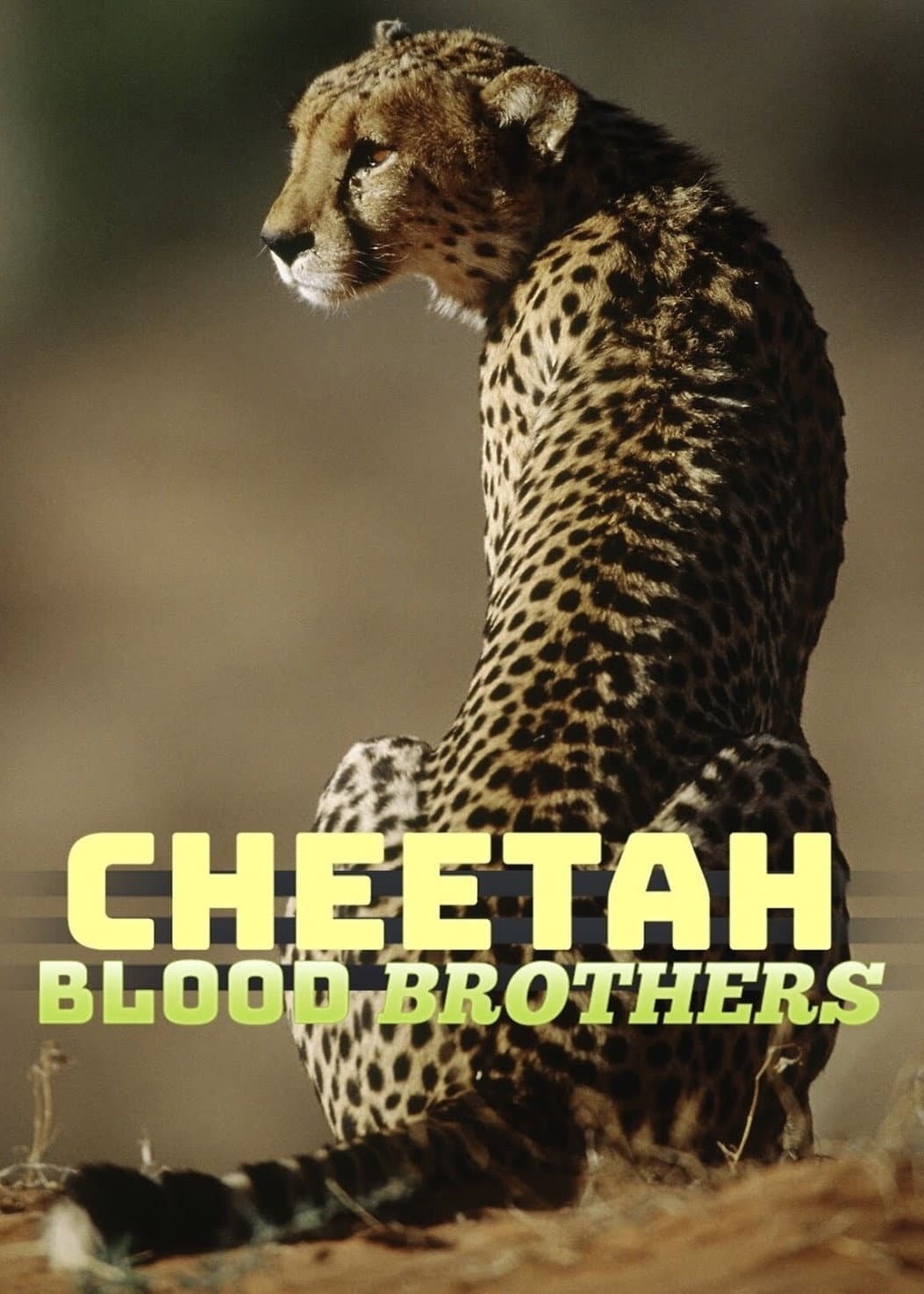 Poster di Cheetah Blood Brothers