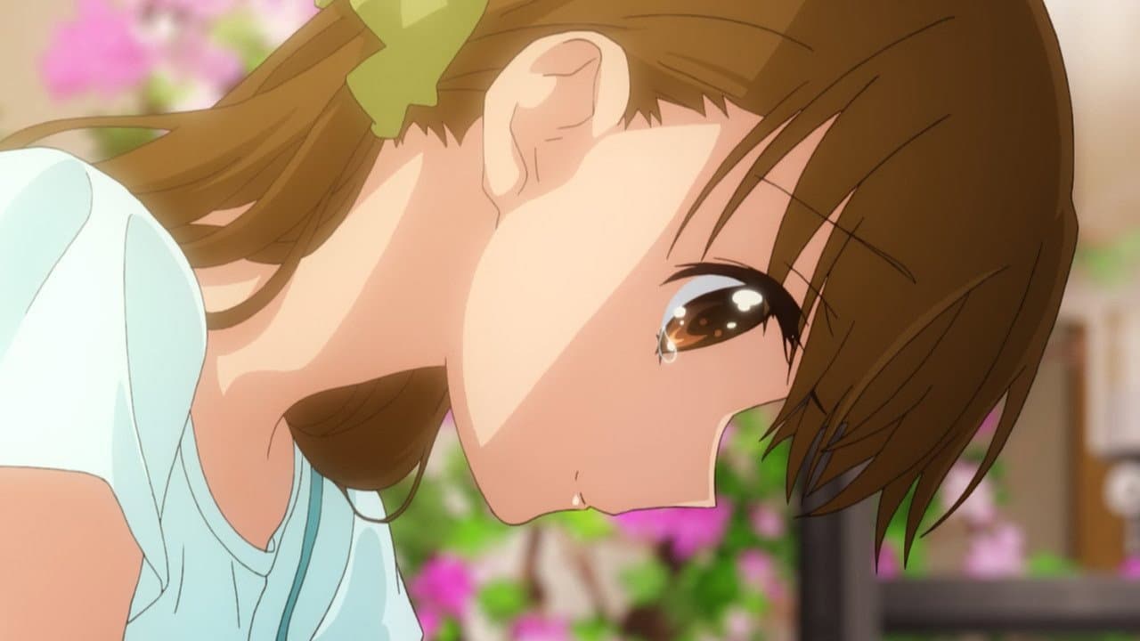 たまゆら～卒業写真～ 第2部 響-ひびき- - immagine