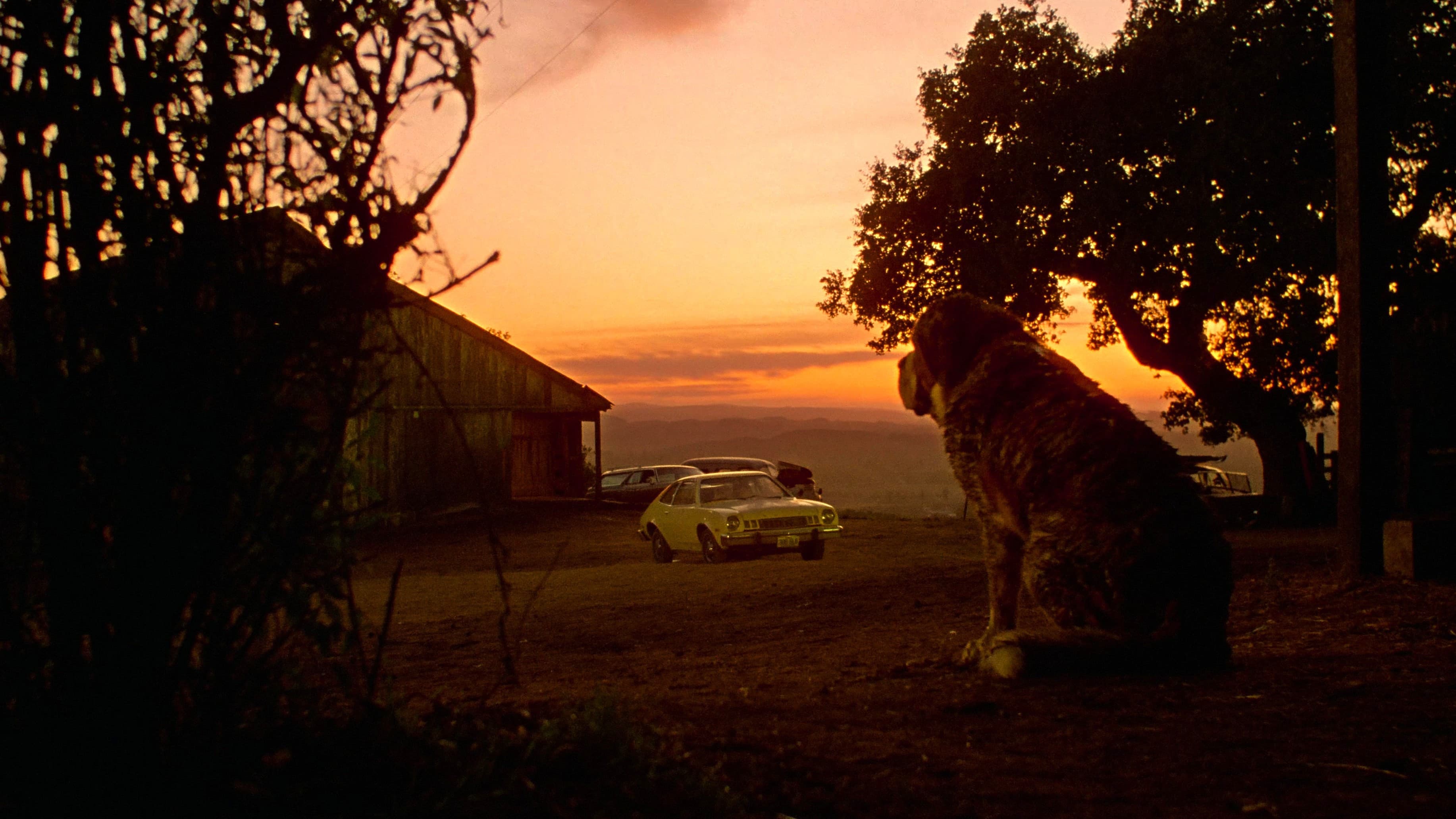 Cujo - immagine