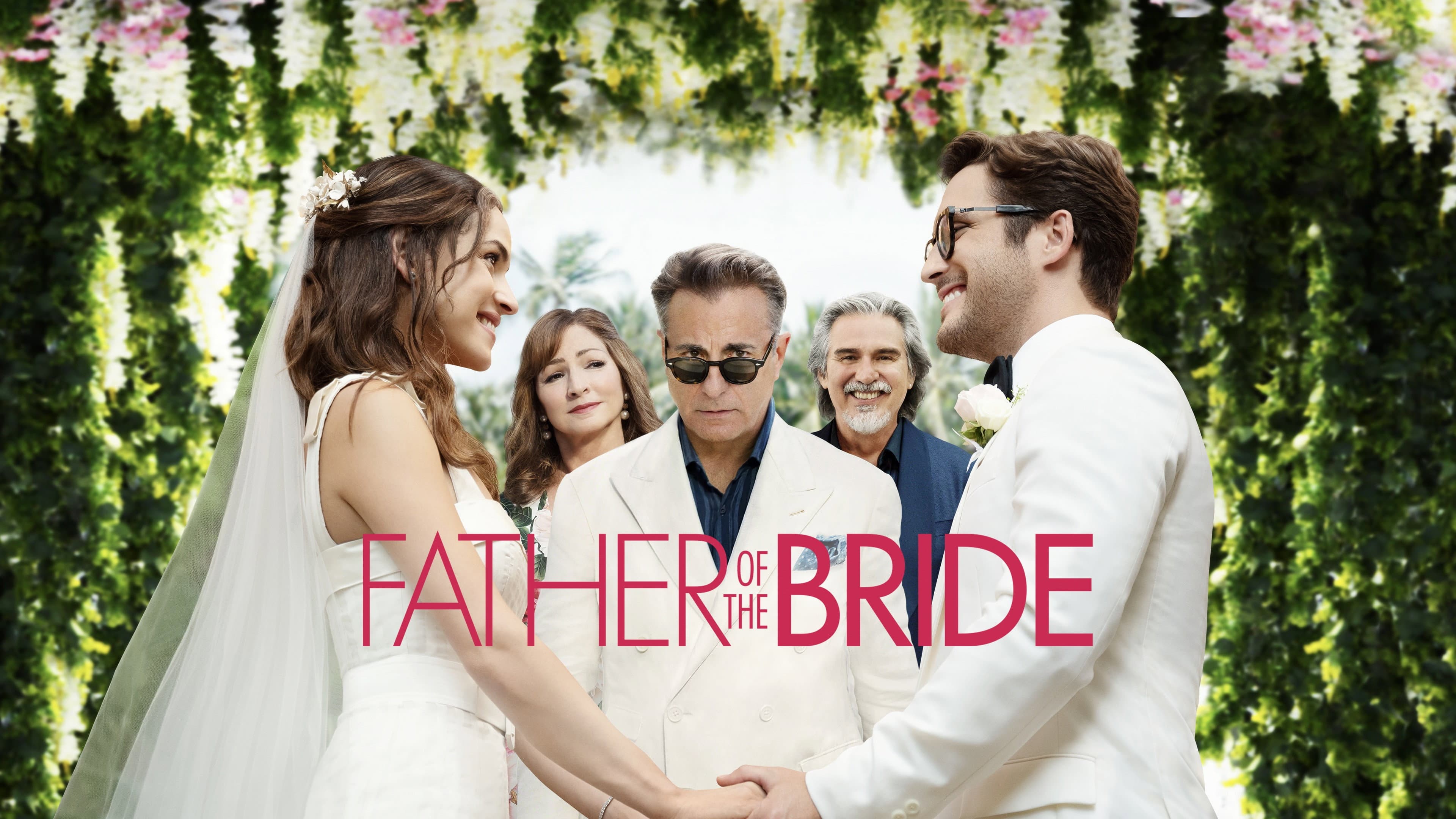 Il padre della sposa - Matrimonio a Miami - immagine