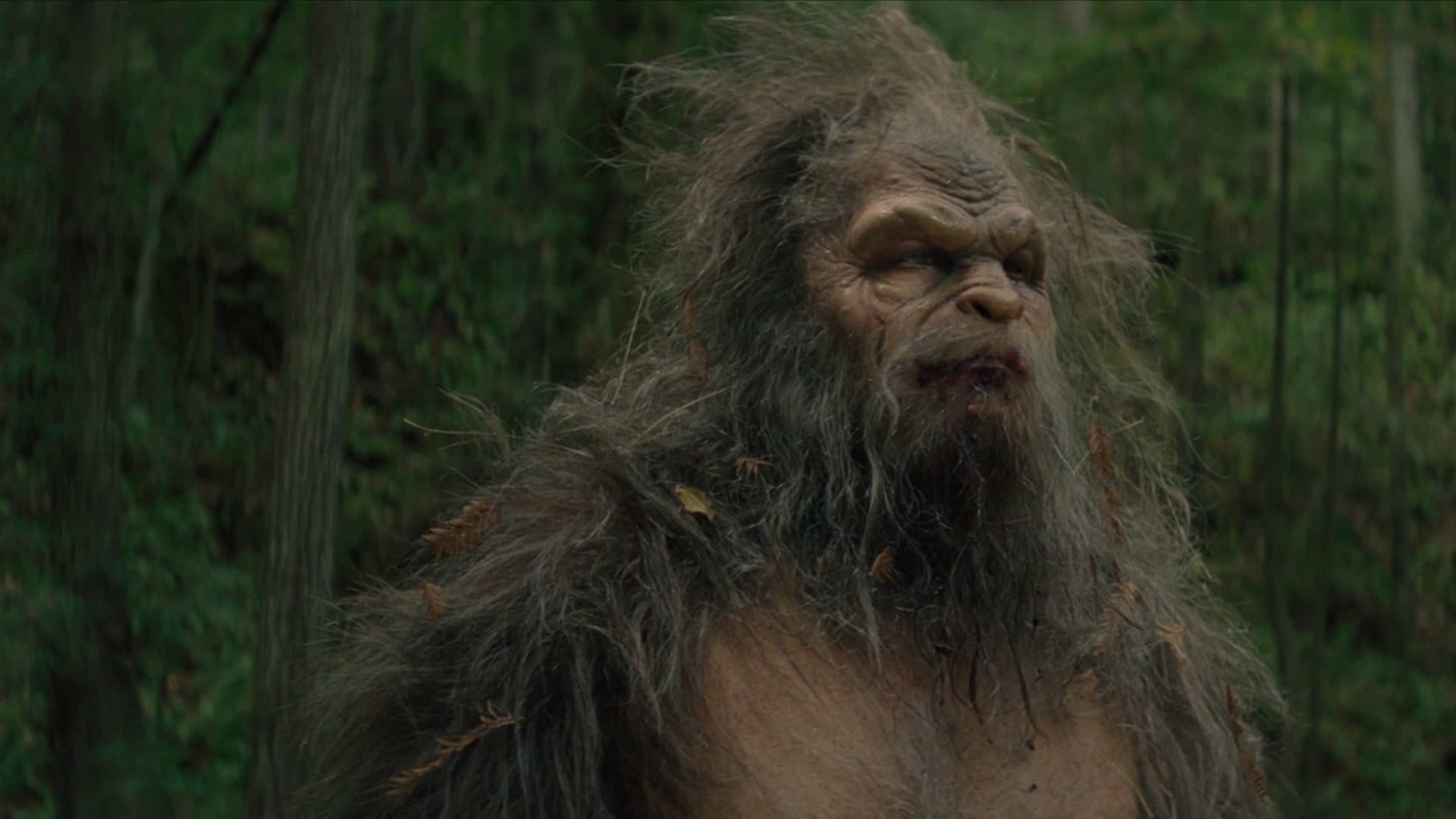 Sasquatch Sunset - immagine