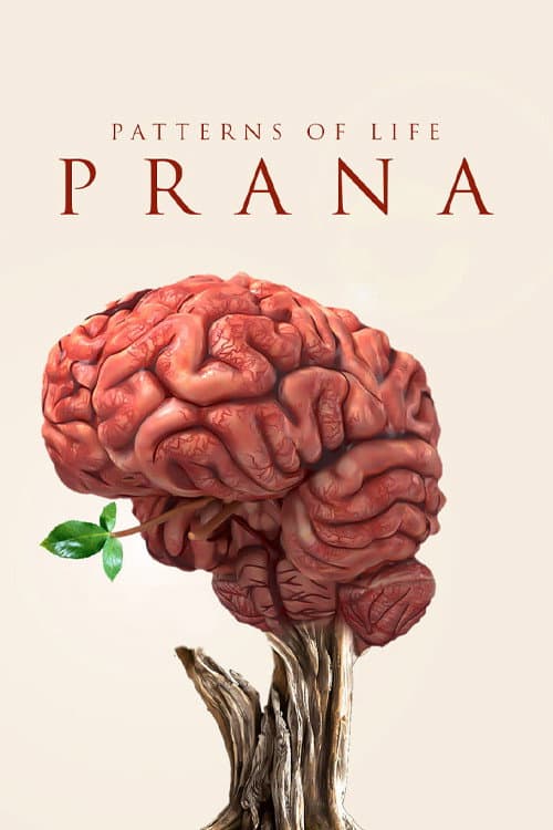 Poster di Patterns of life: Prana