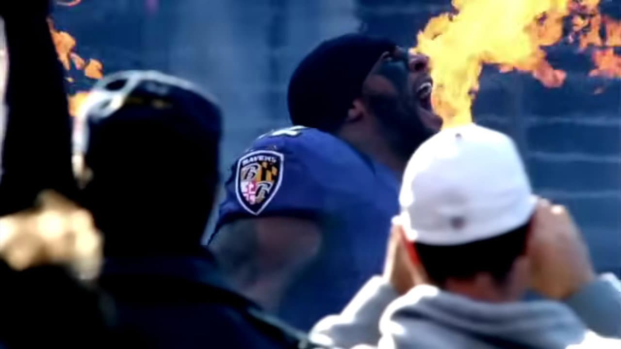 2012 Baltimore Ravens: Super Bowl XLVII Champions - immagine