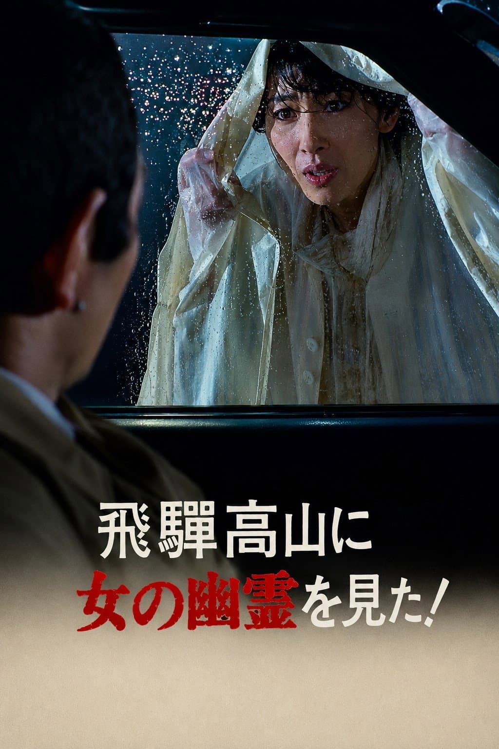 Poster di 飛騨高山に女の幽霊を見た!