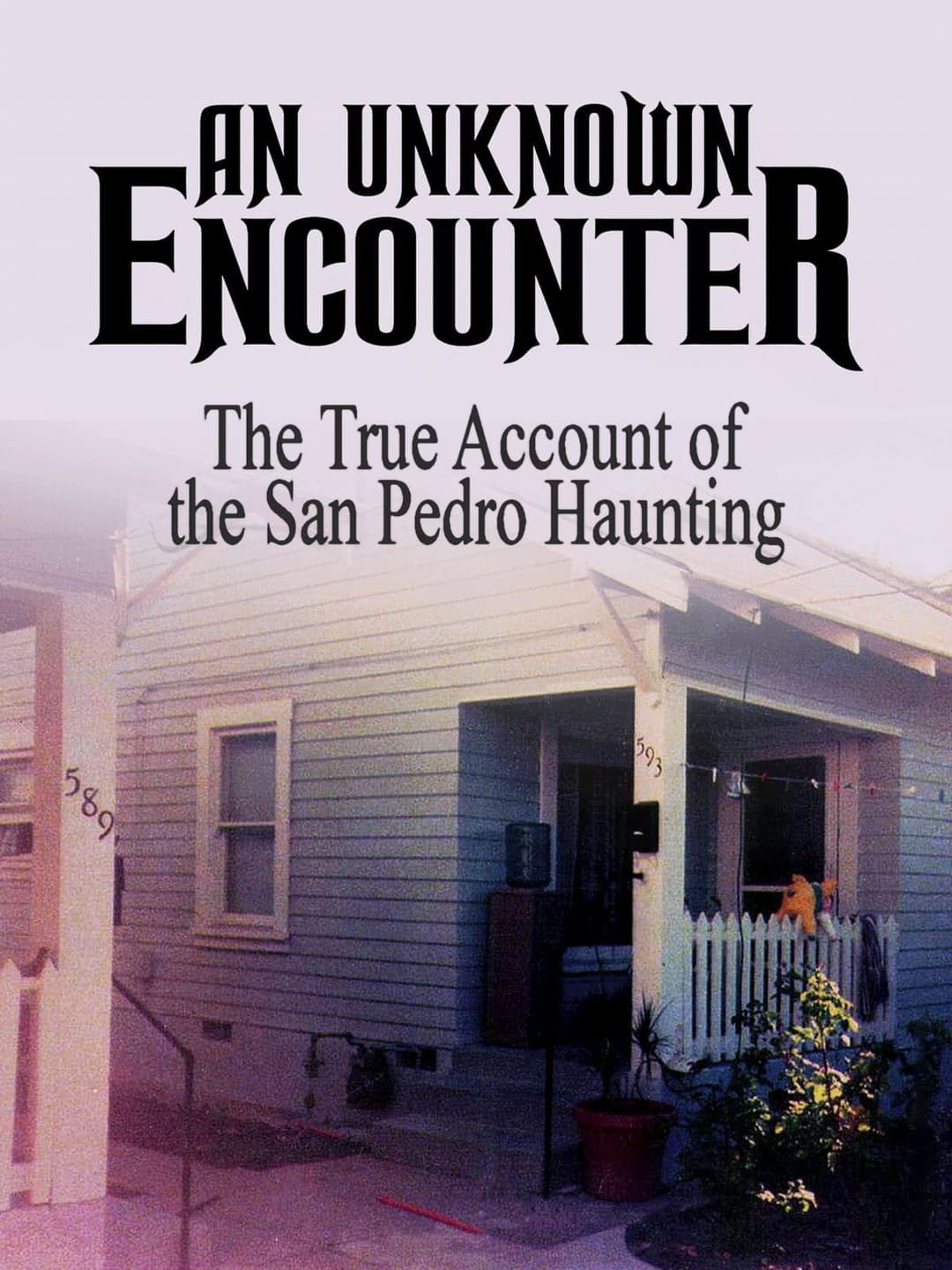 Poster di An Unknown Encounter