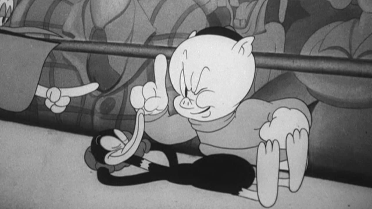 Porky e Daffy - immagine