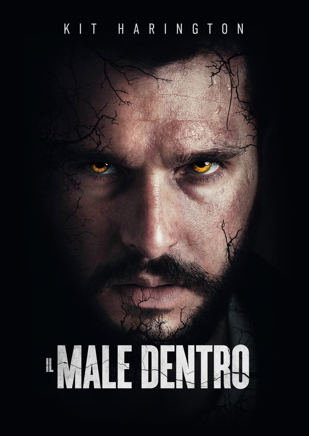 Poster di Il male dentro