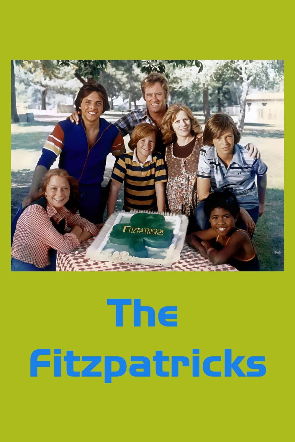 Poster di The Fitzpatricks