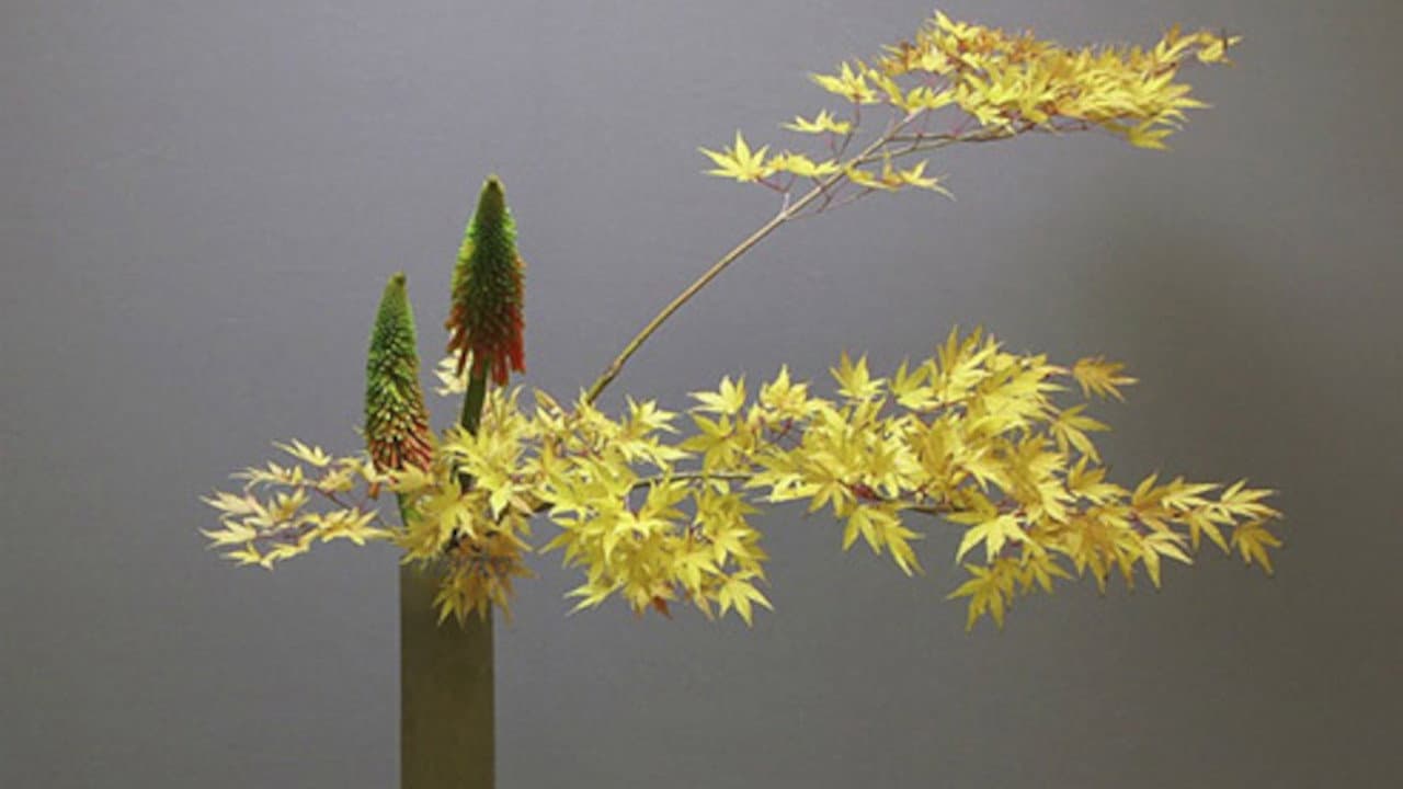 Ikebana - immagine