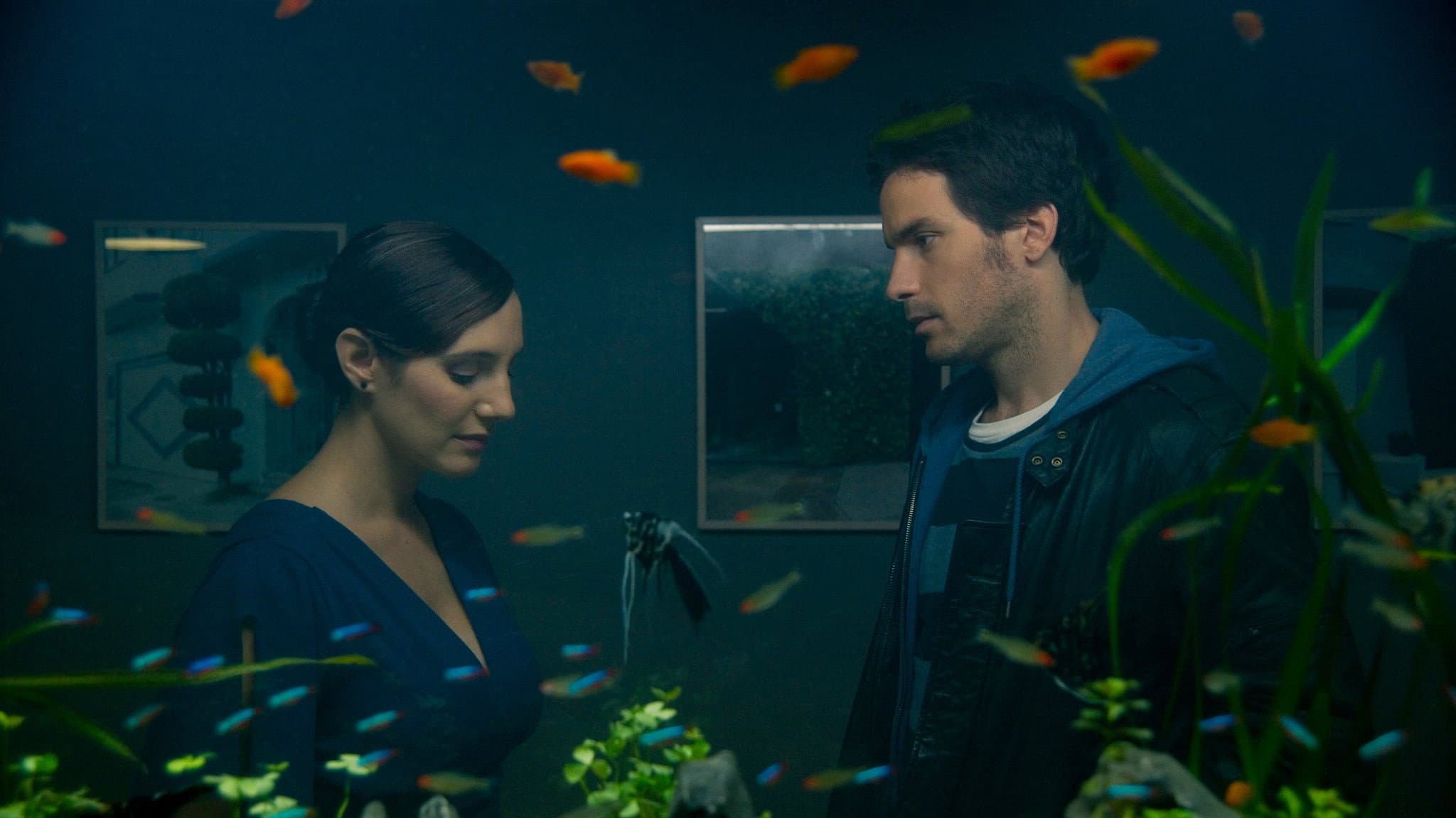 La vida de los peces - immagine