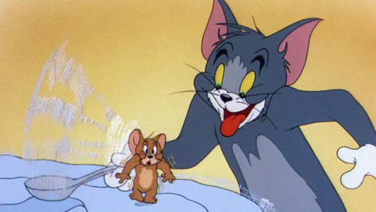 Il gatto del sabato sera - immagine