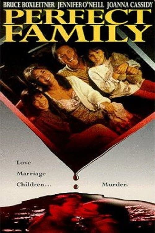Poster di Perfect Family