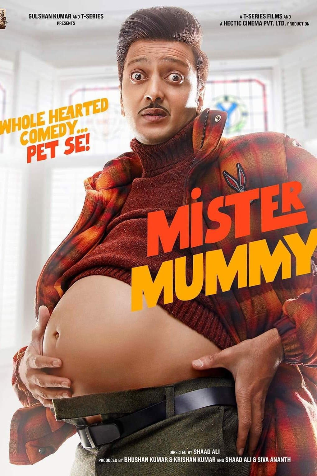 Poster di मिस्टर मम्मी