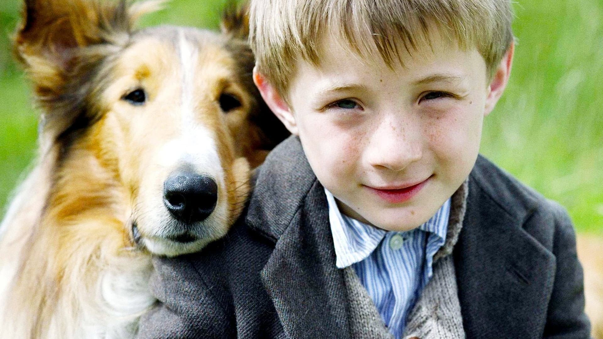 Lassie - immagine