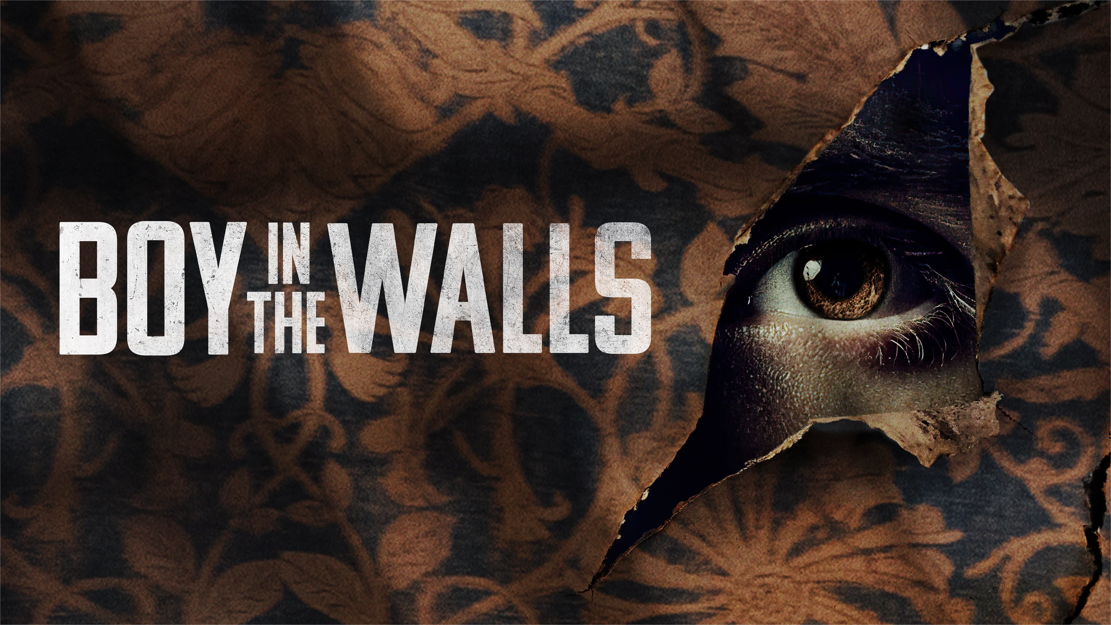 Boy in the Walls - immagine
