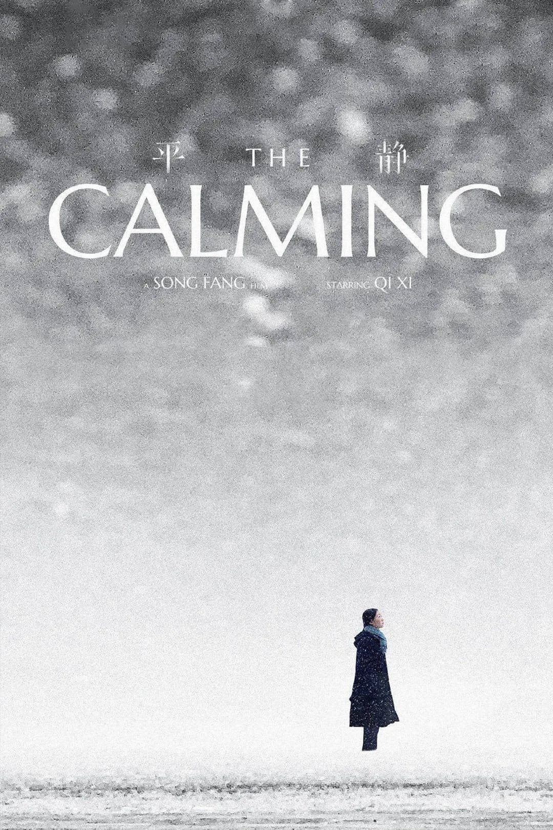 Poster di 平静