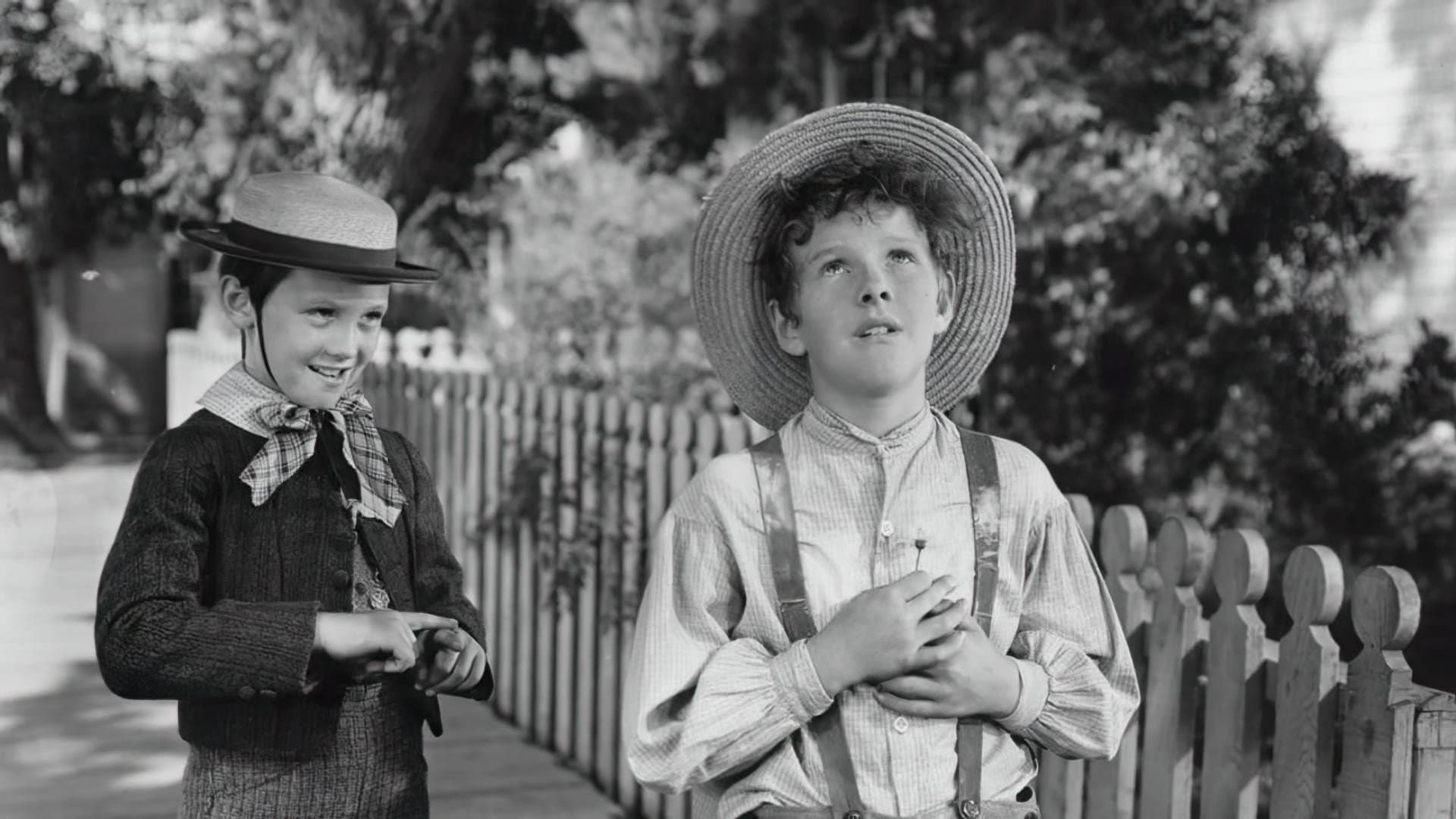 Le avventure di Tom Sawyer - immagine