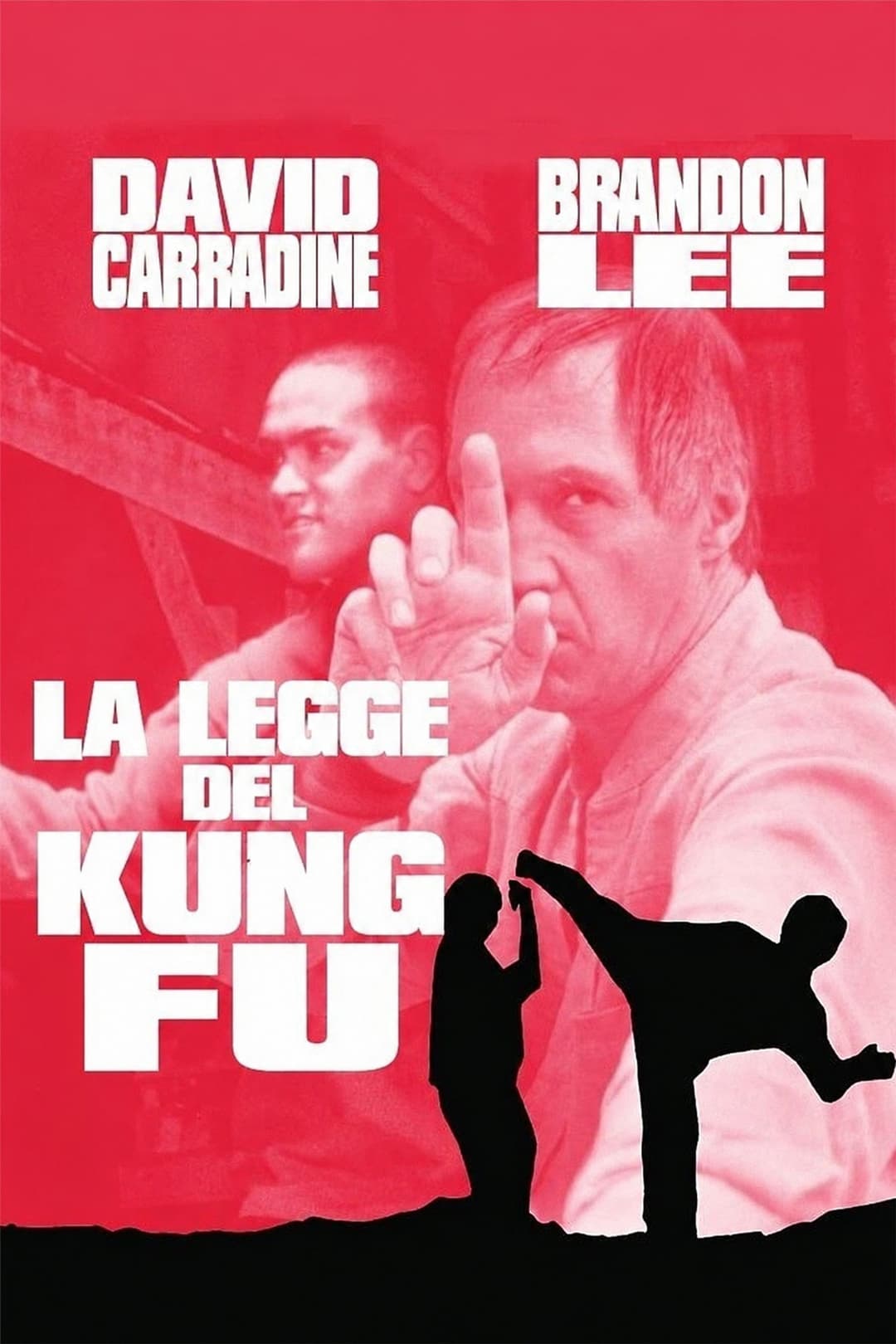Poster di La legge del kung fu