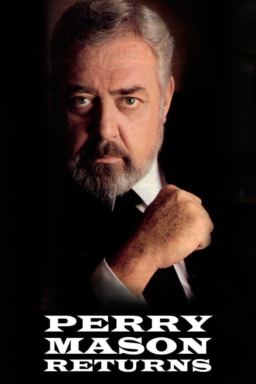 Poster di Perry Mason Returns