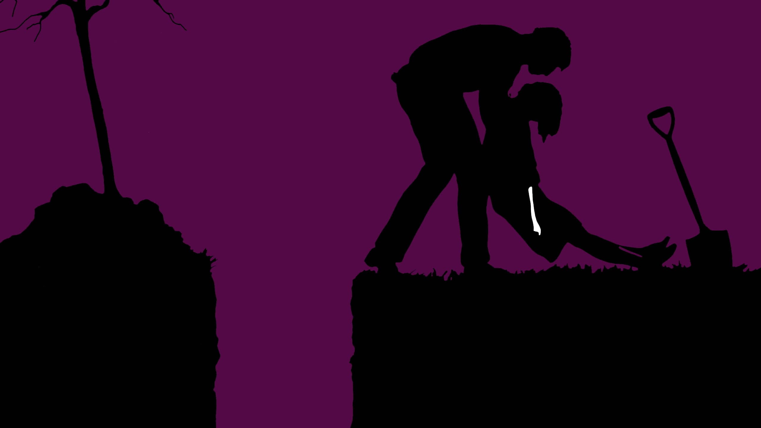 Diary of the Dead - immagine