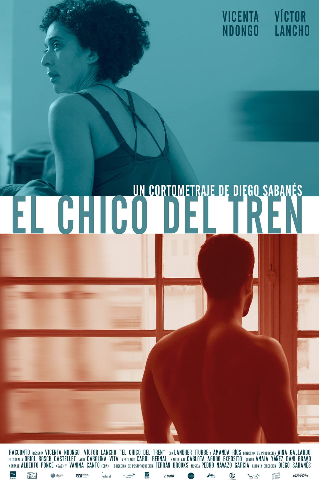 Poster di El chico del tren