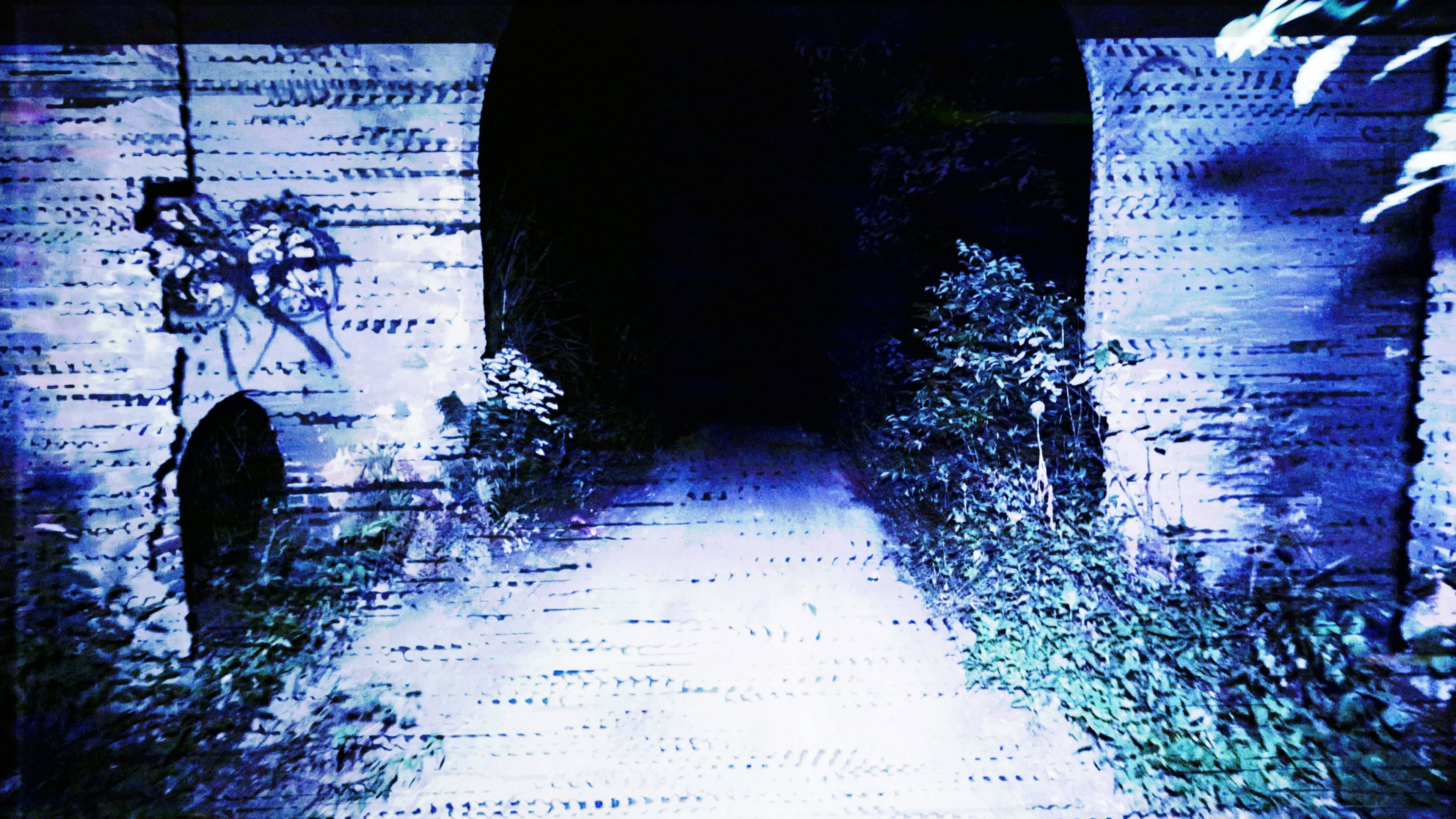 Transmission - immagine