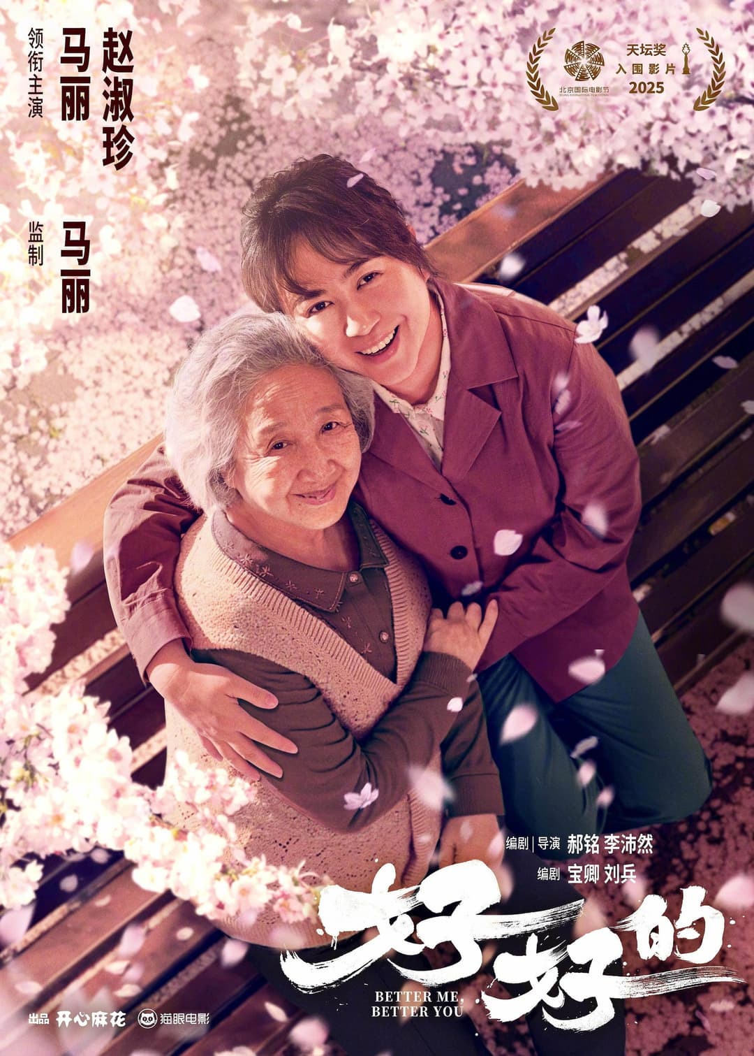 Poster di 好好的