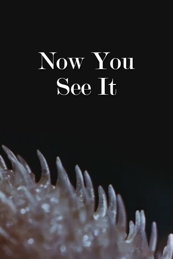 Poster di Now You See It