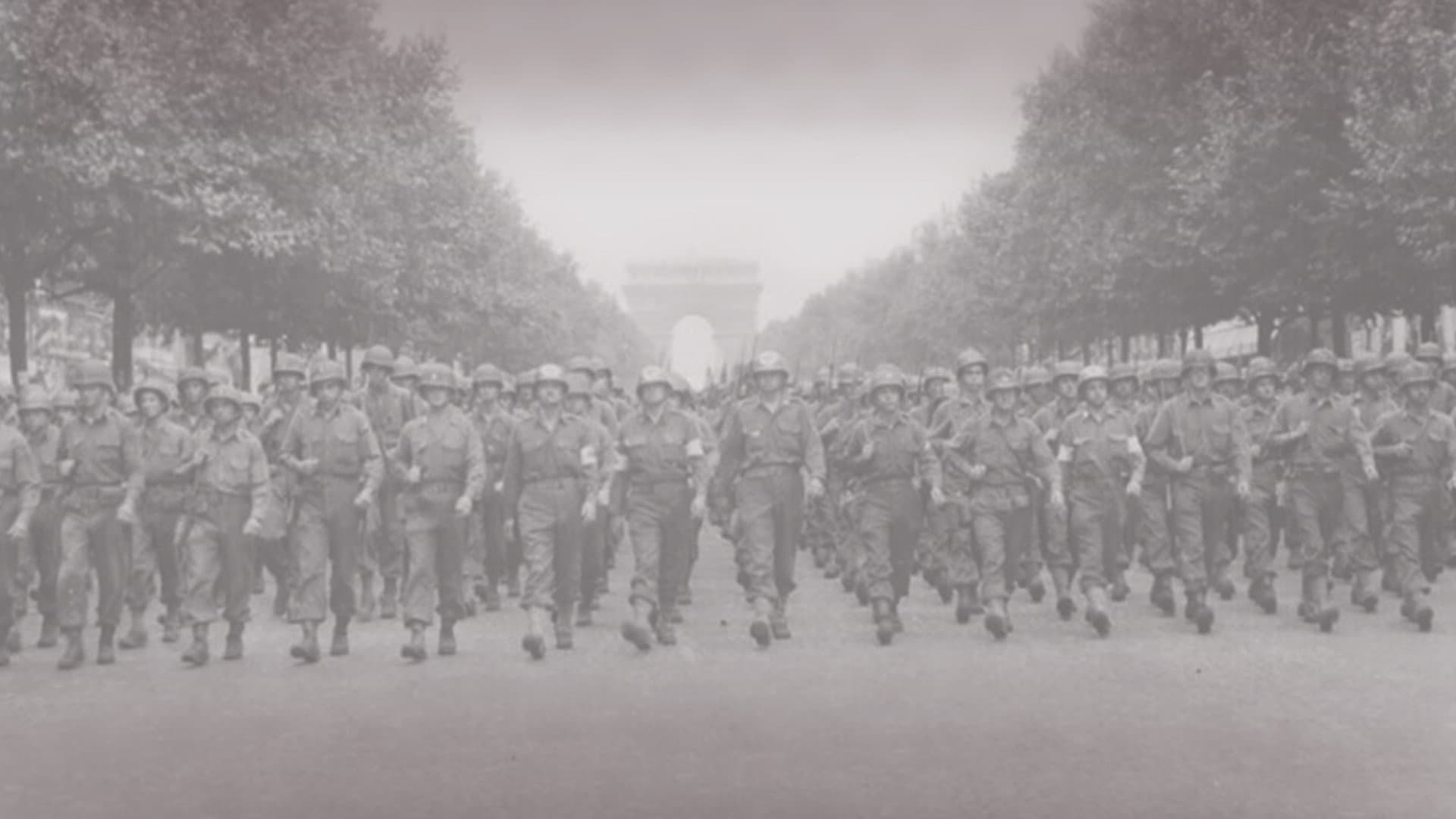 Liberation - immagine