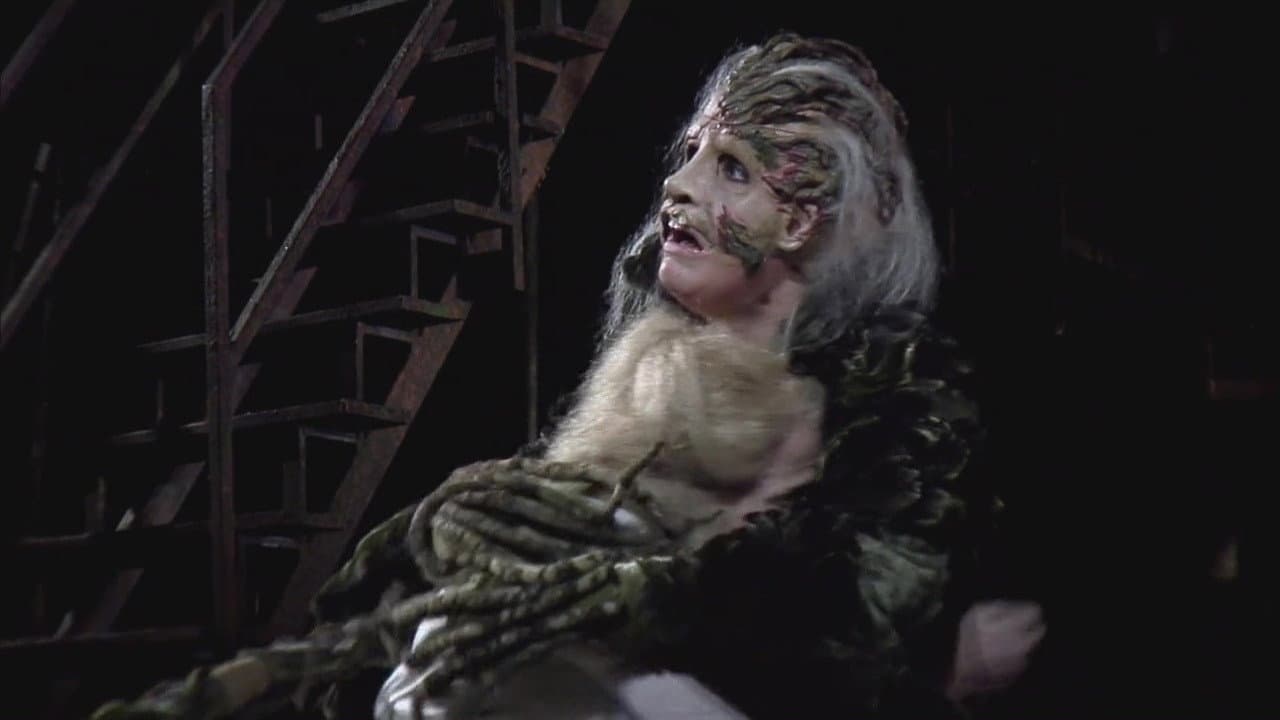 Into the Woods - immagine