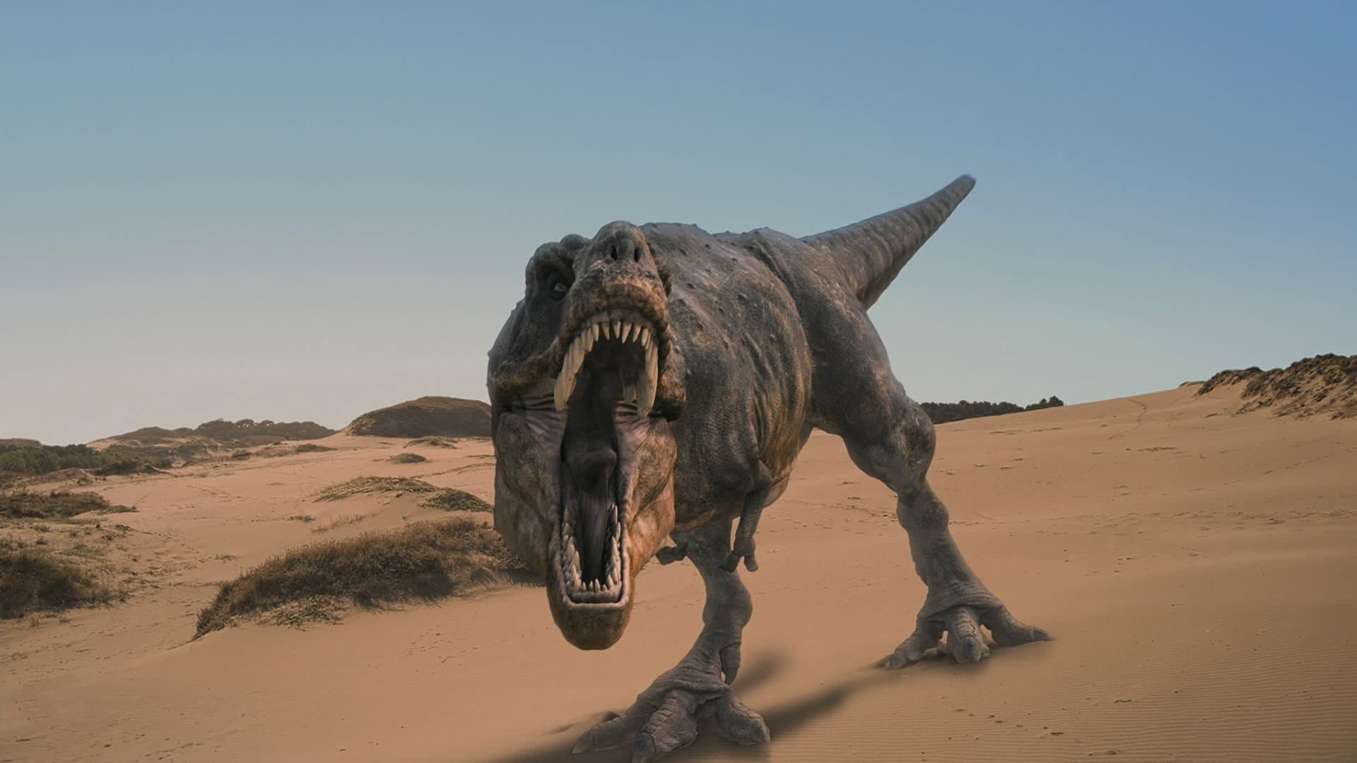 Dinosaurs Alive - immagine