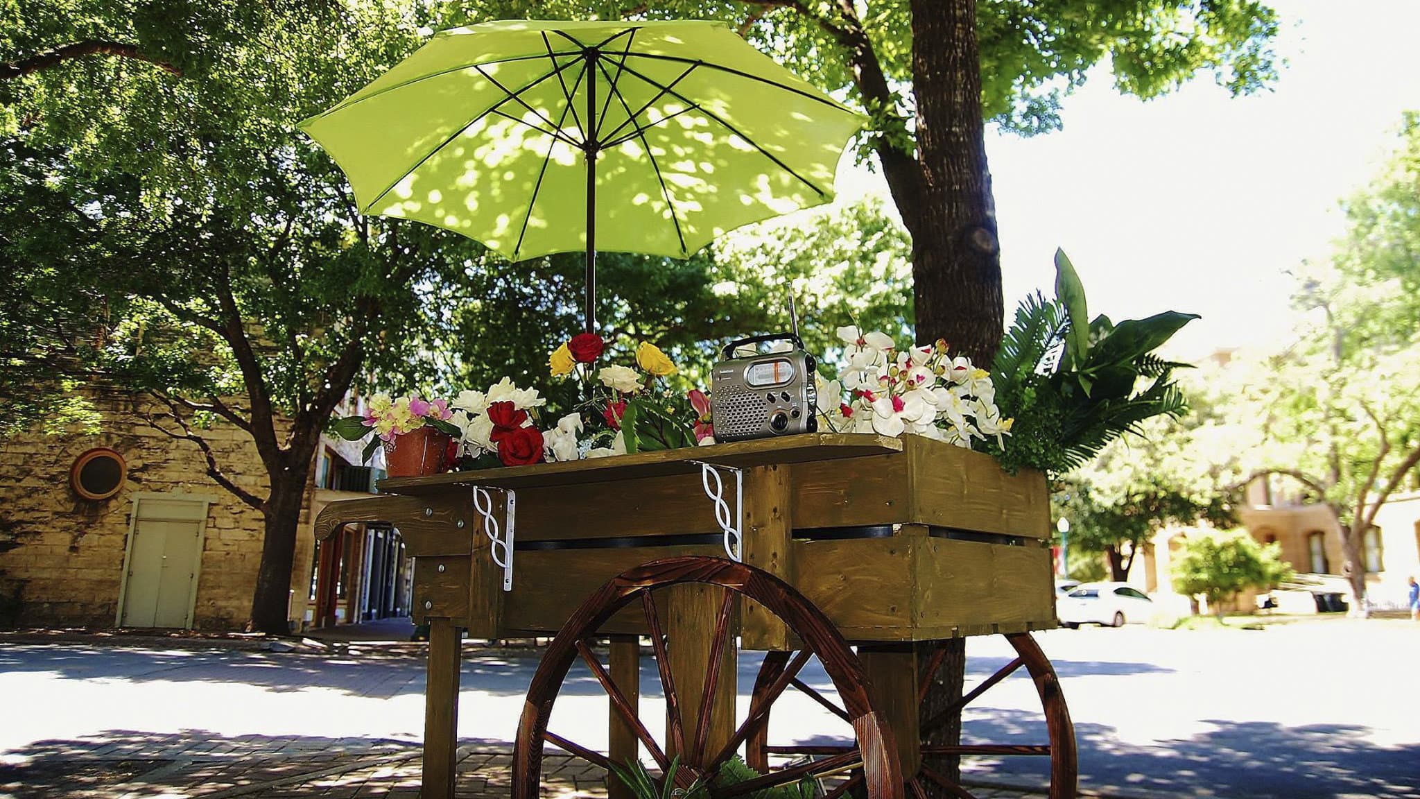 The Man Who Loved Flowers - immagine