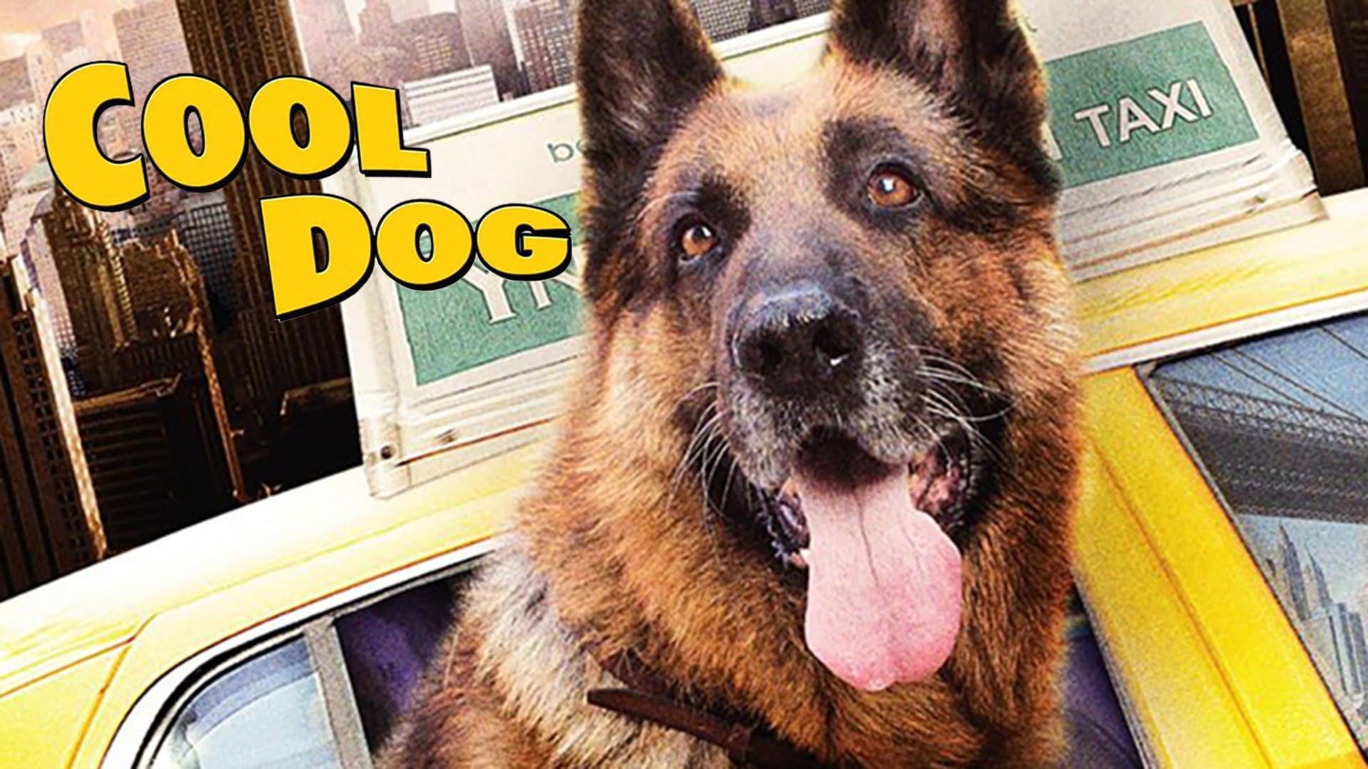 Cool Dog - Rin Tin Tin a New York - immagine