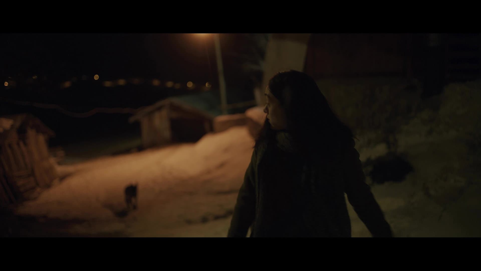 Kar ve Ayı - immagine