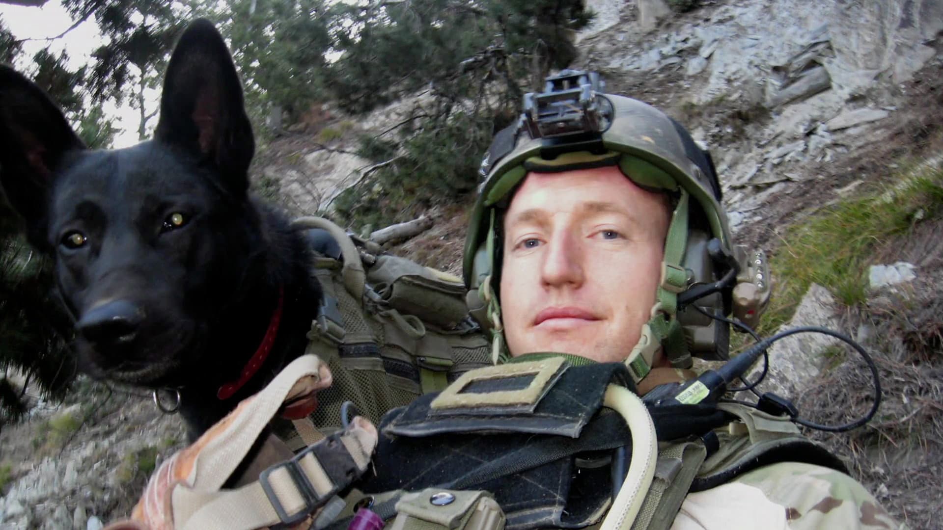 War Dog: A Soldier's Best Friend - immagine