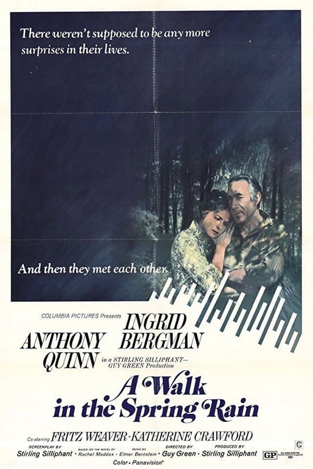 Poster di A Walk in the Spring Rain