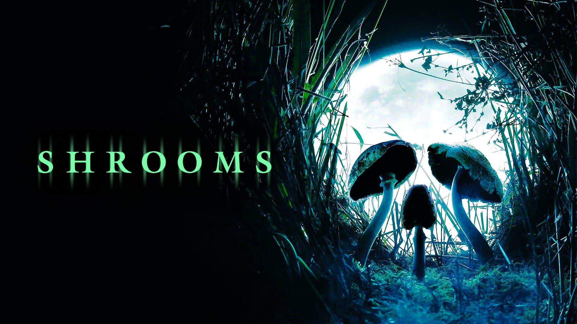 Shrooms - Trip senza ritorno - immagine