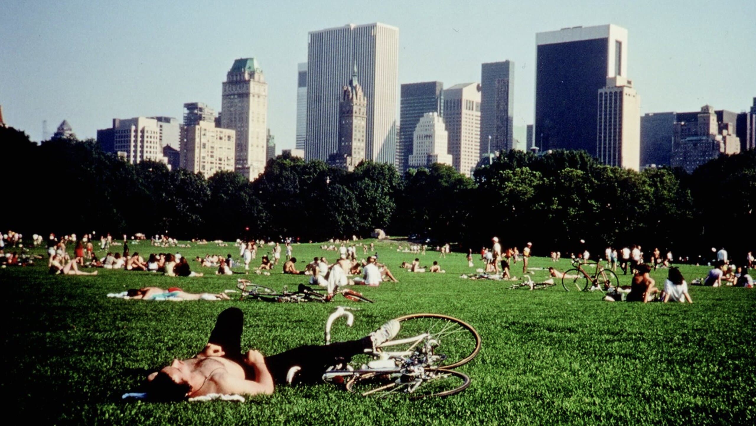 Central Park - immagine